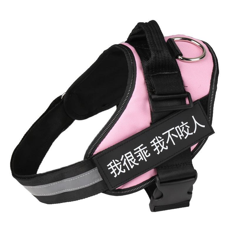 Ultimate Pet Adventure Set – Adjustable Dog Harness with Matching Leash-4