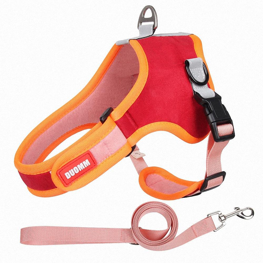 Luxury Suede Dog Harness Set – Adjustable Chest Strap with Matching Leash-1