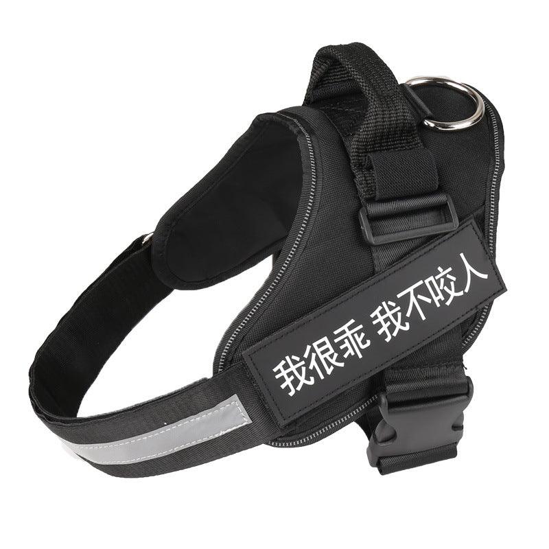 Ultimate Pet Adventure Set – Adjustable Dog Harness with Matching Leash-3