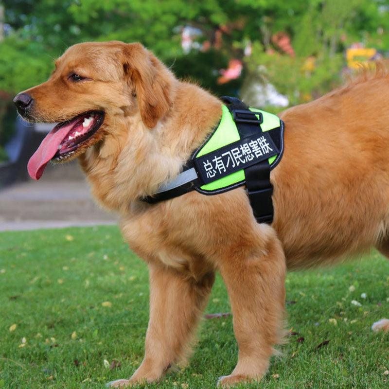 Ultimate Pet Adventure Set – Adjustable Dog Harness with Matching Leash-2