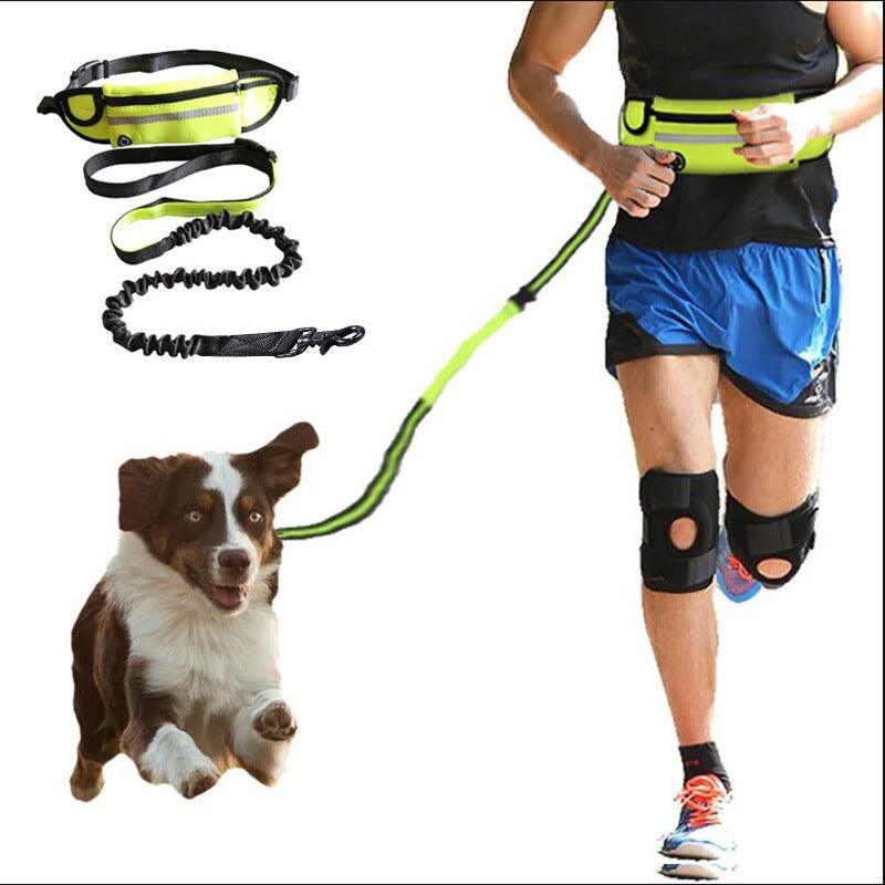 Hands-Free Dog Leash Belt with Bungee Leash, Phone & Water Bottle Holder-0