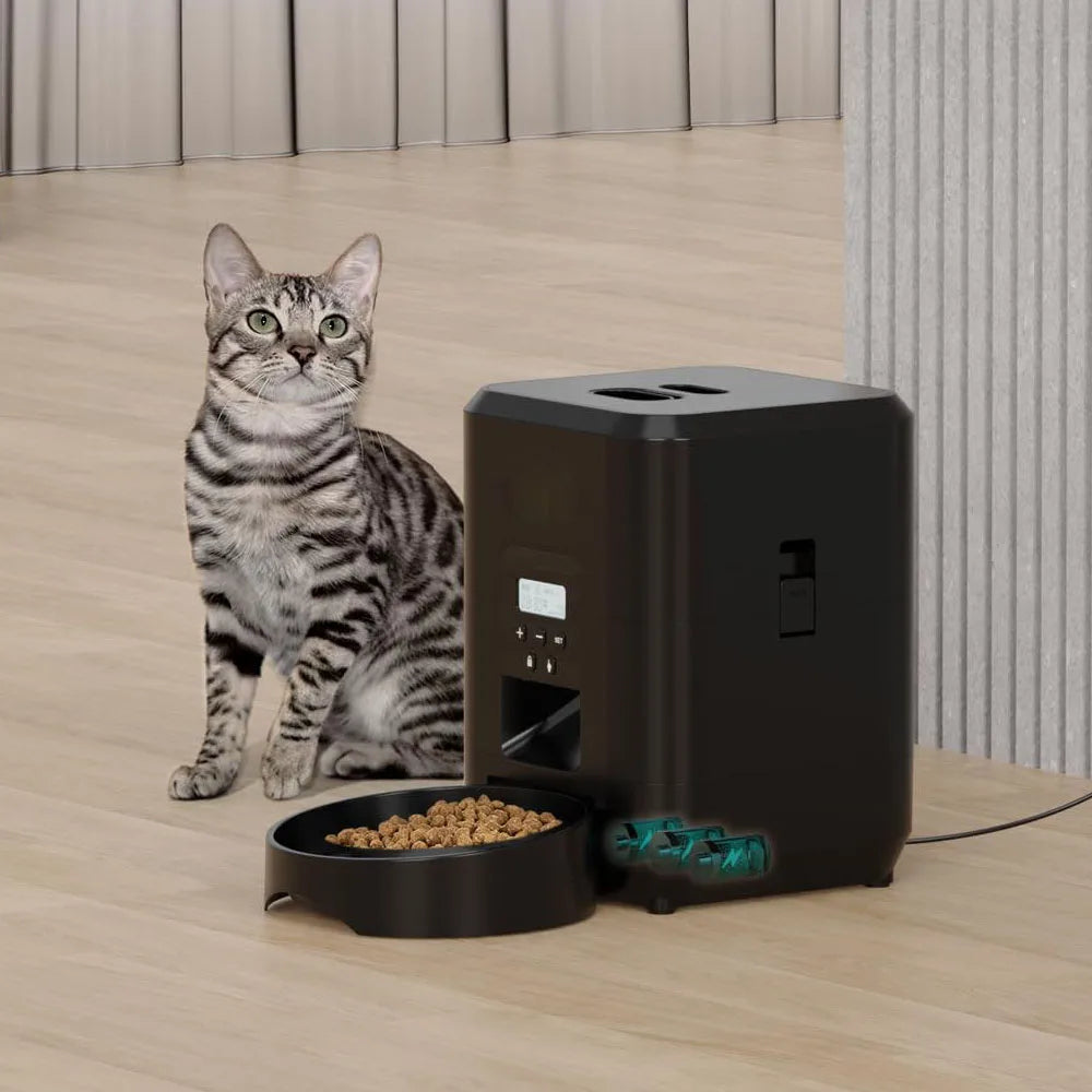 Automatic cat and dog food dispenser bowl