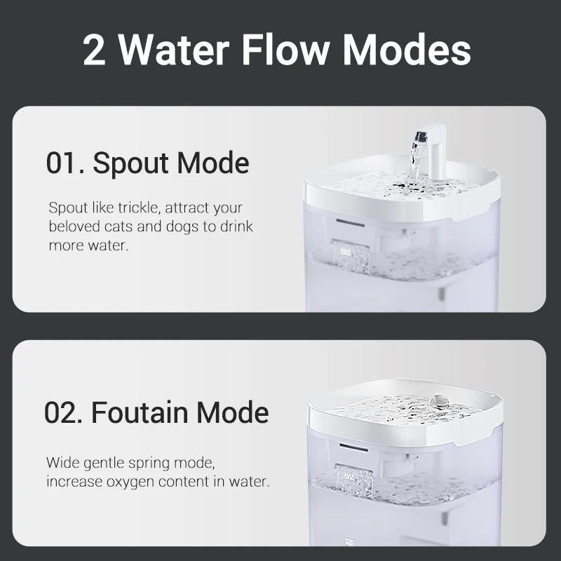 Automatic filtered pet water dispenser