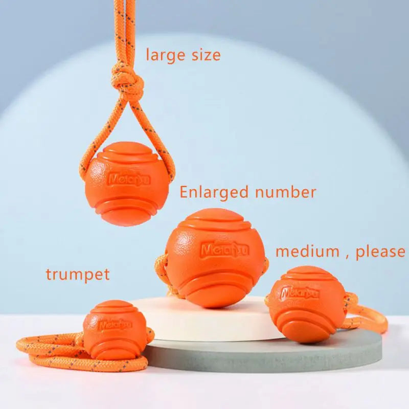 Interactive bouncy rubber dog ball with rope