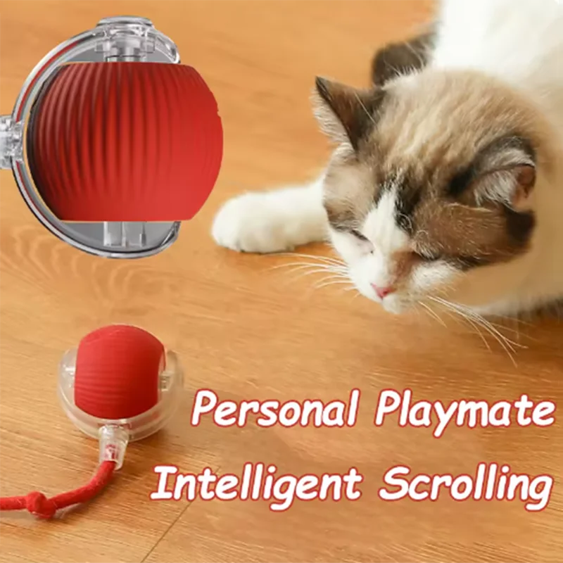 Automatic interactive cat toy with moving ball