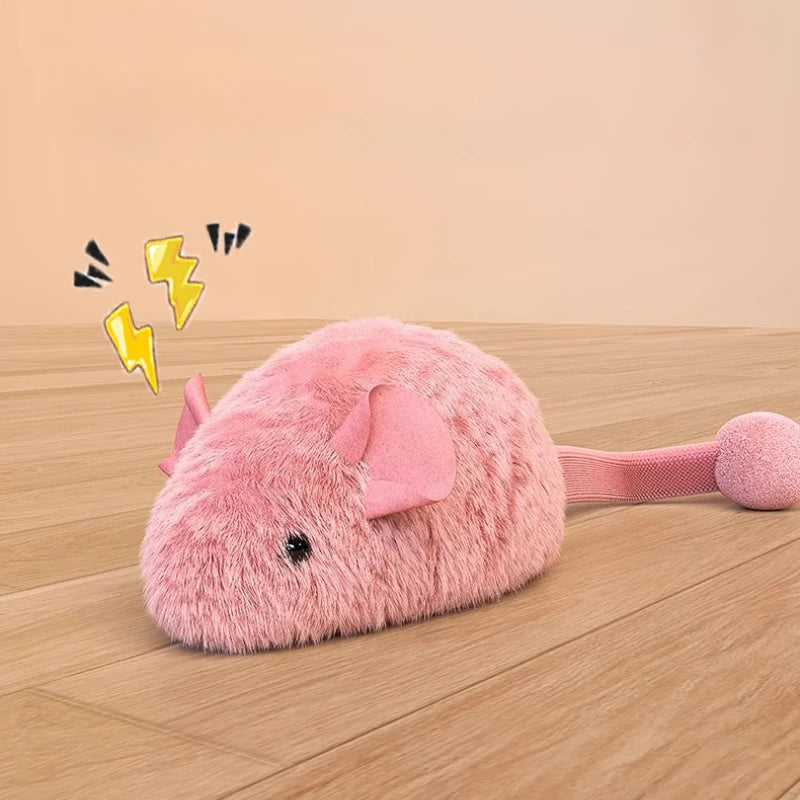 Cat toy designed to reduce boredom