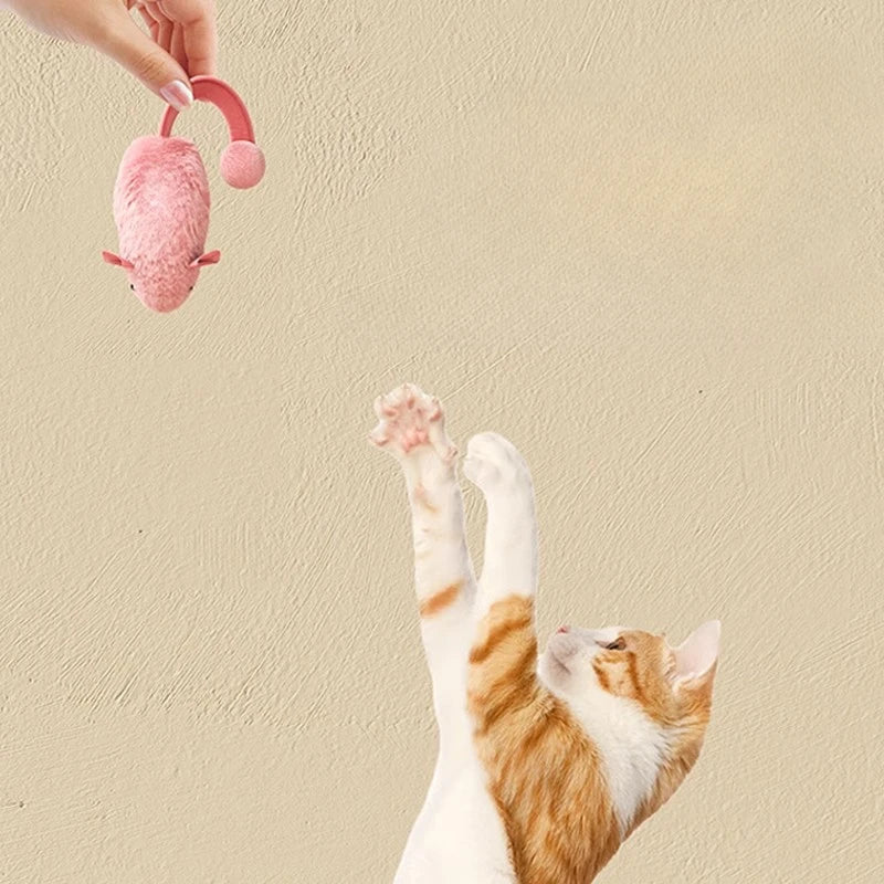 Cat toy designed to reduce boredom