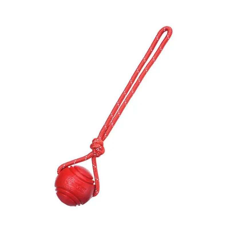 Dog ball toy with rope for fetch and tug games