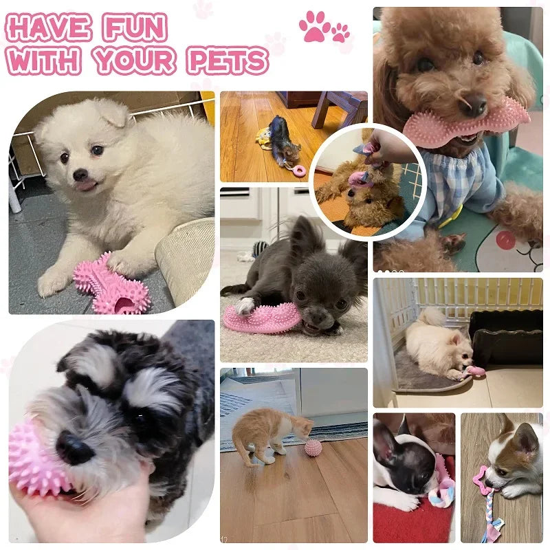 Dental chew toy set for dogs