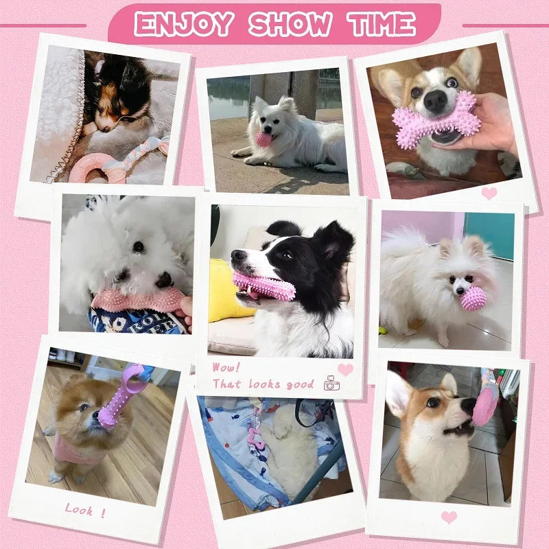 Dental chew toy set for dogs