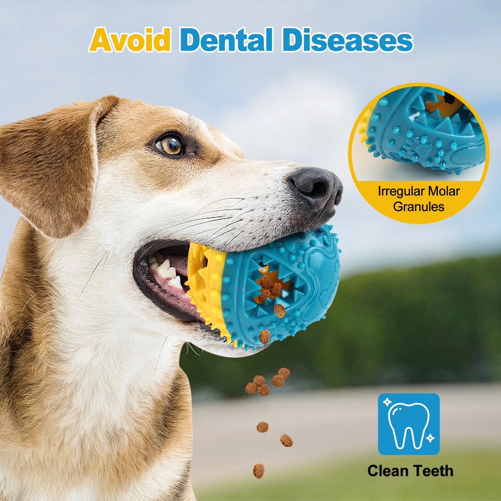 Dog holding a blue and yellow dental toy with text 'Avoid Dental Diseases' and images of the product's features.
