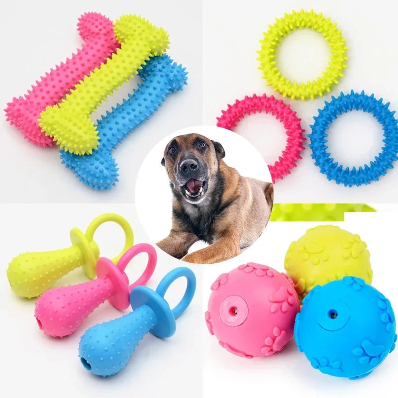 Colorful dog toys including bones, rings, and balls with a dog in the center.