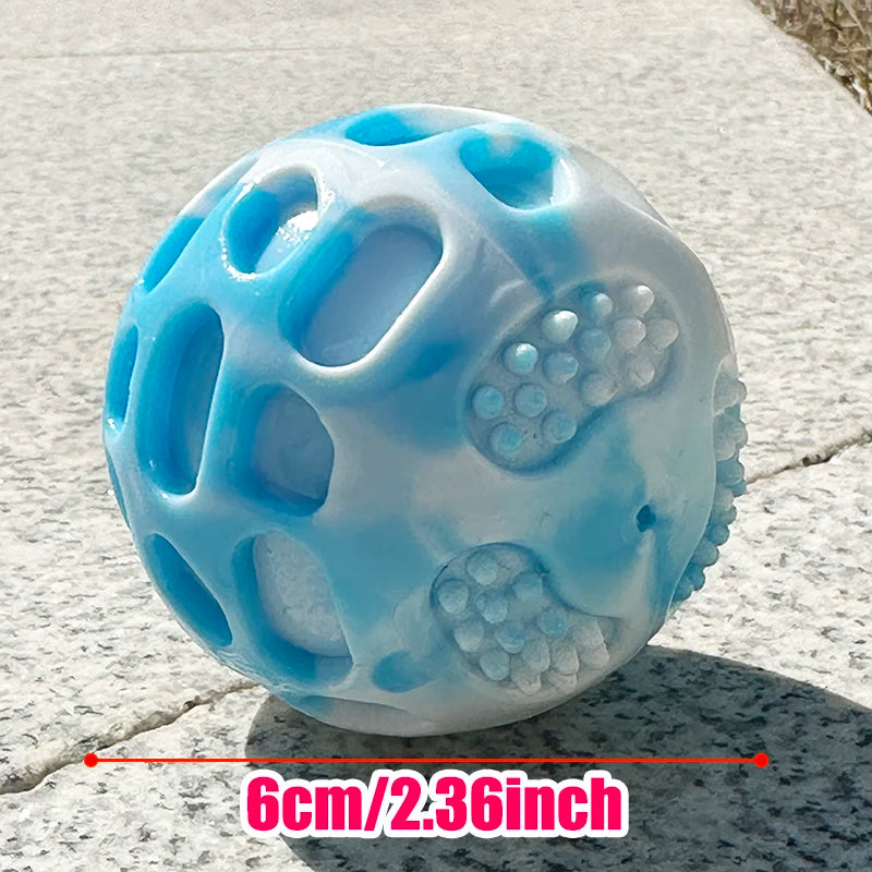 Durable dog training chew toy for outdoor play