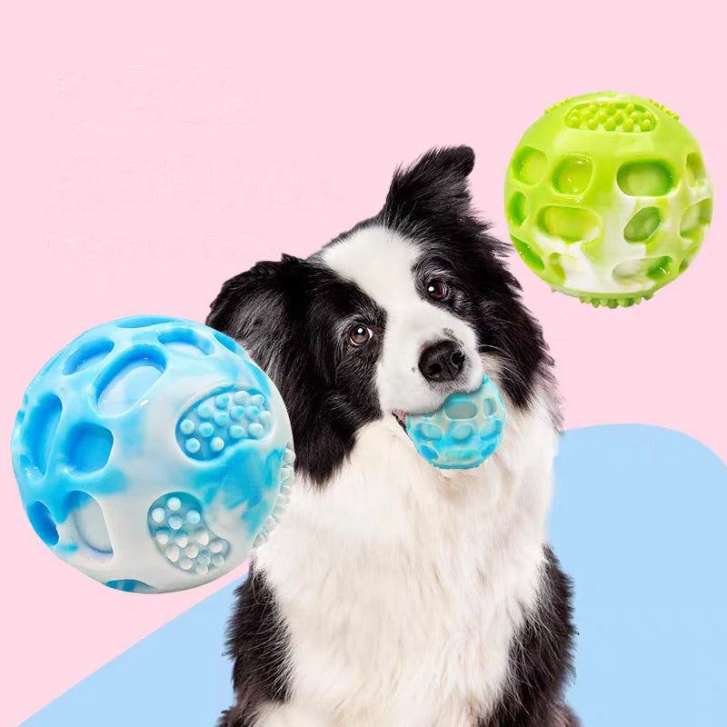Durable dog training chew toy for outdoor play