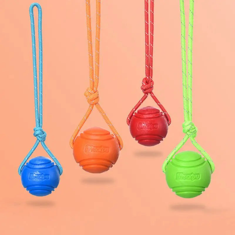 Interactive bouncy rubber dog ball with rope