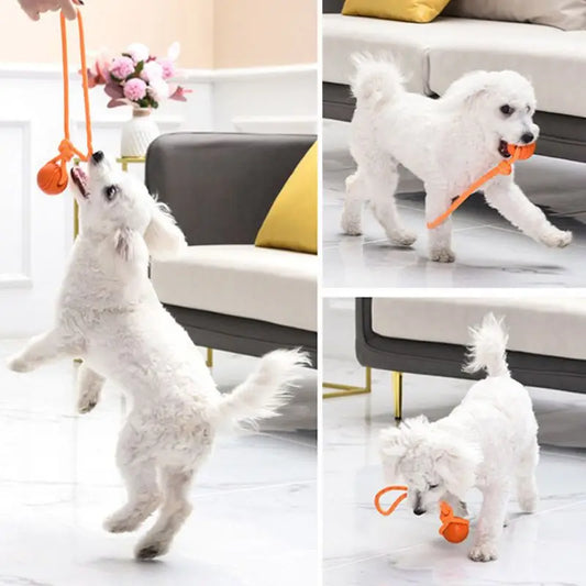 Interactive bouncy rubber dog ball with rope