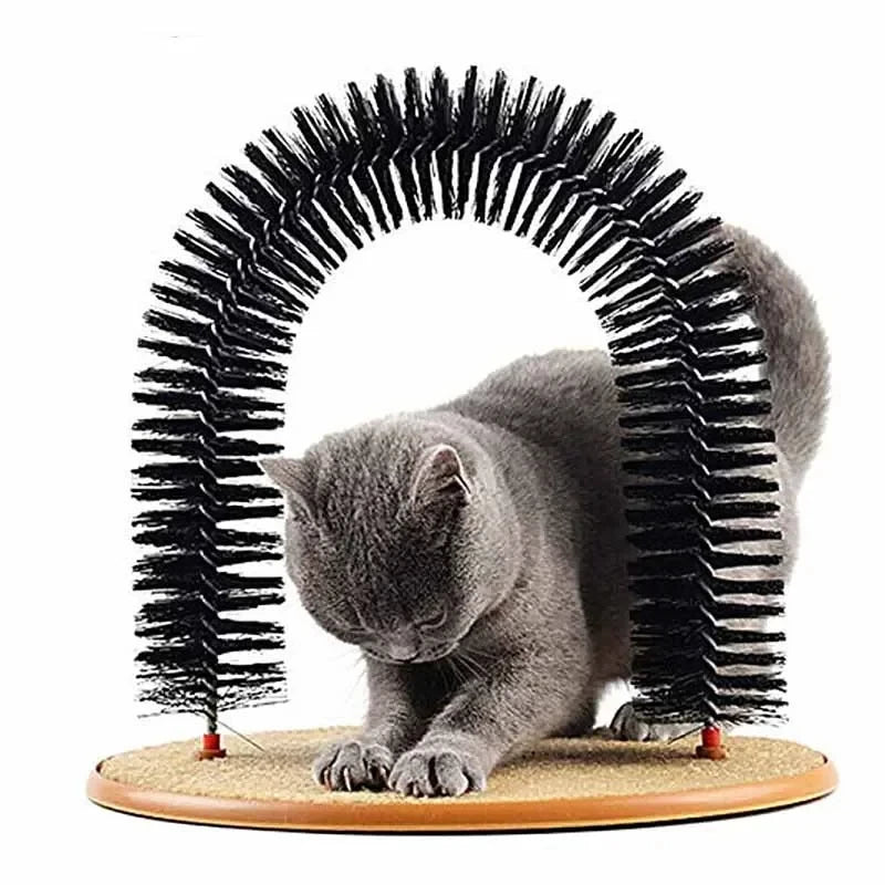 Indoor cat enrichment grooming toy