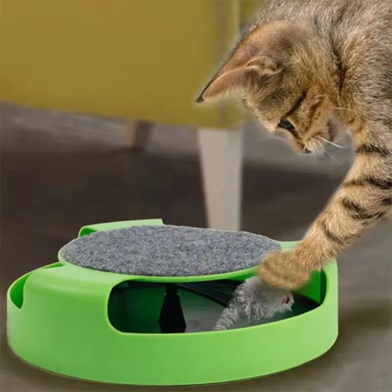 Indoor cat toy with scratching track