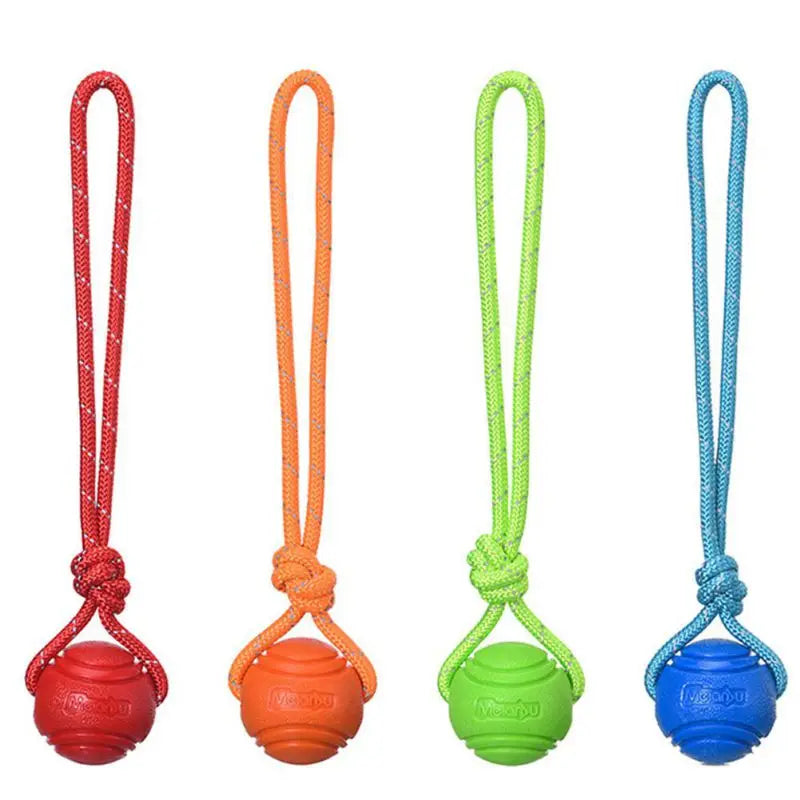 Interactive bouncy rubber dog ball with rope
