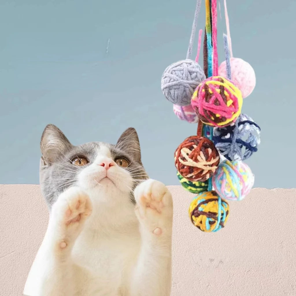Interactive chew and tease balls for cats