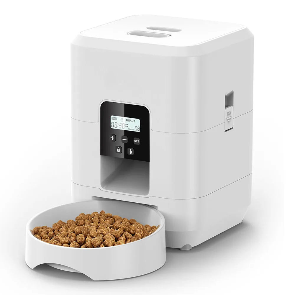 Modern automatic feeder for daily pet meals
