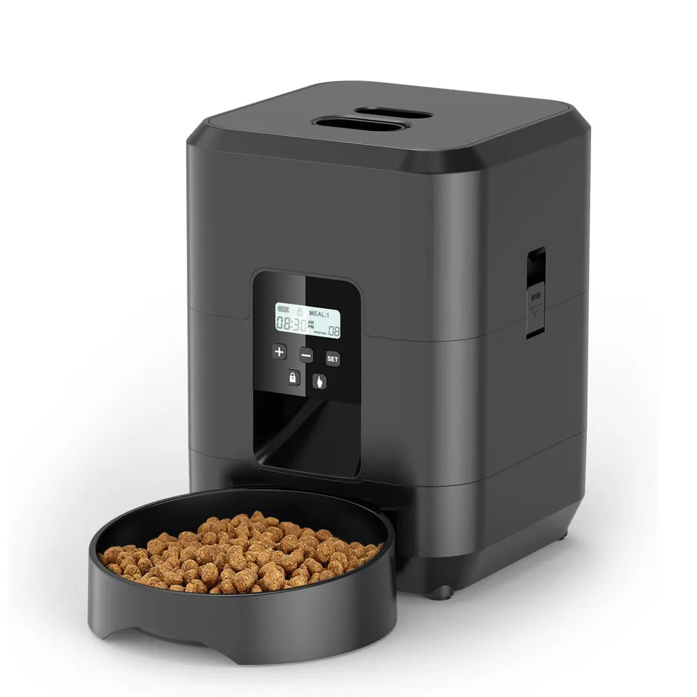 Modern automatic feeder for daily pet meals