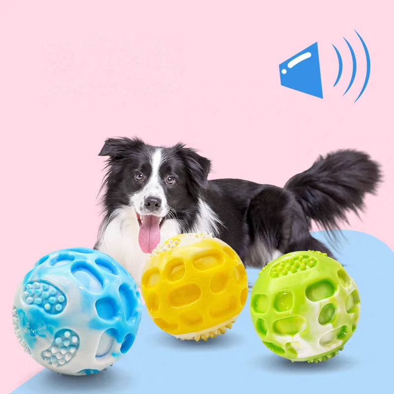 Outdoor dog toy built for daily use