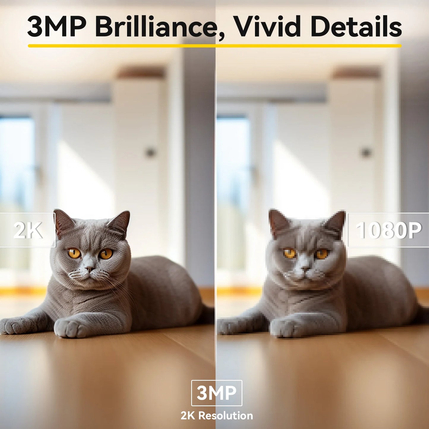 Pet monitoring camera with 360 degree pan and tilt