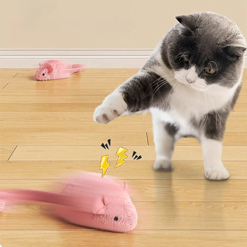 Plush mouse cat toy for indoor play