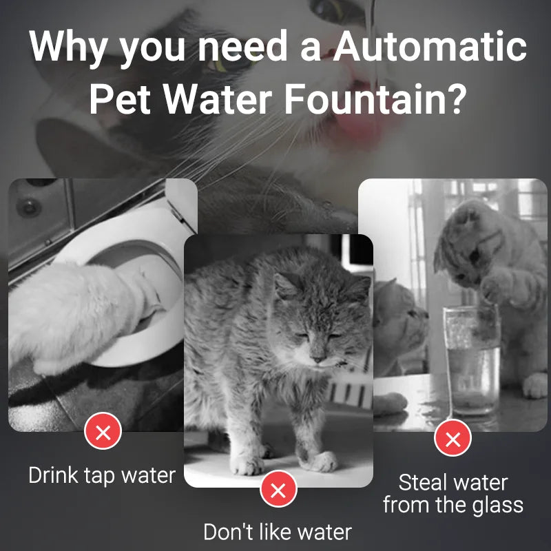 ROJECO smart pet water fountain for cats and dogs