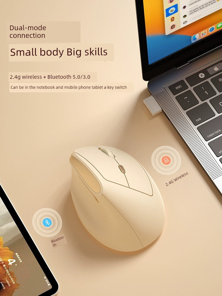 Bow Ergonomic Dual-Mode Vertical Mouse Mute Wireless Bluetooth Laptop Female Small Hand Dedicated Vertical