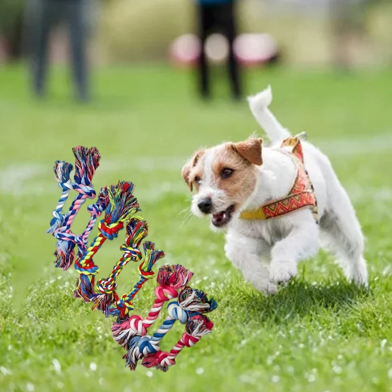 Dog Rope Chew Color Flossy Tug of War Toy Rope Double Knots