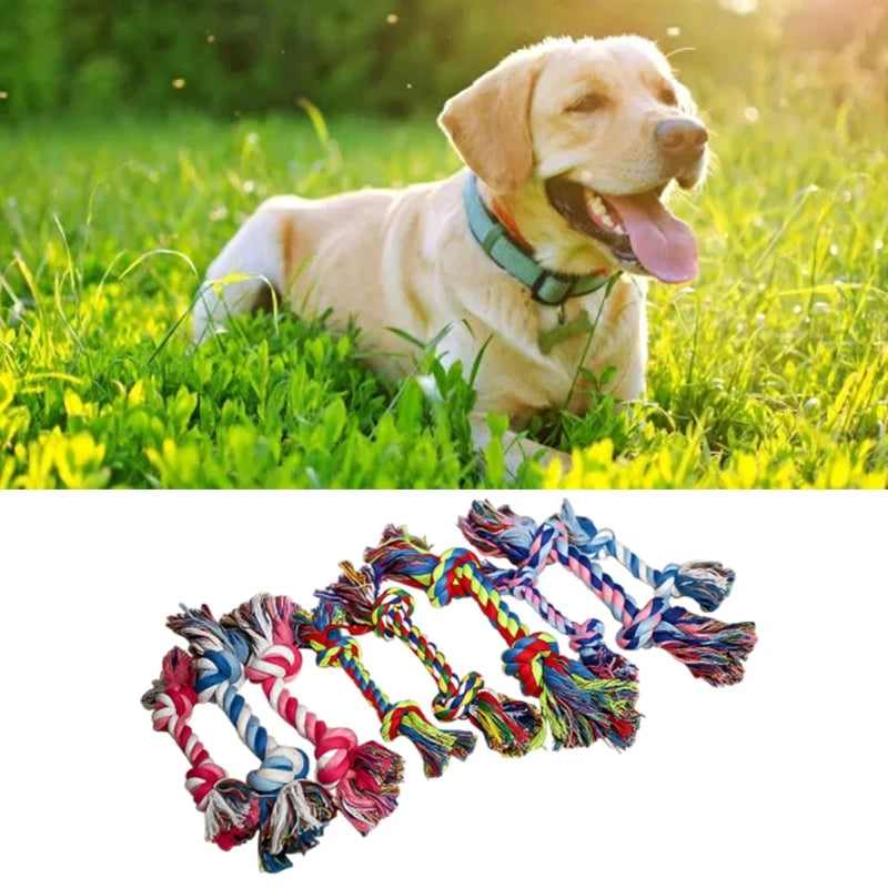 Dog Rope Chew Color Flossy Tug of War Toy Rope Double Knots