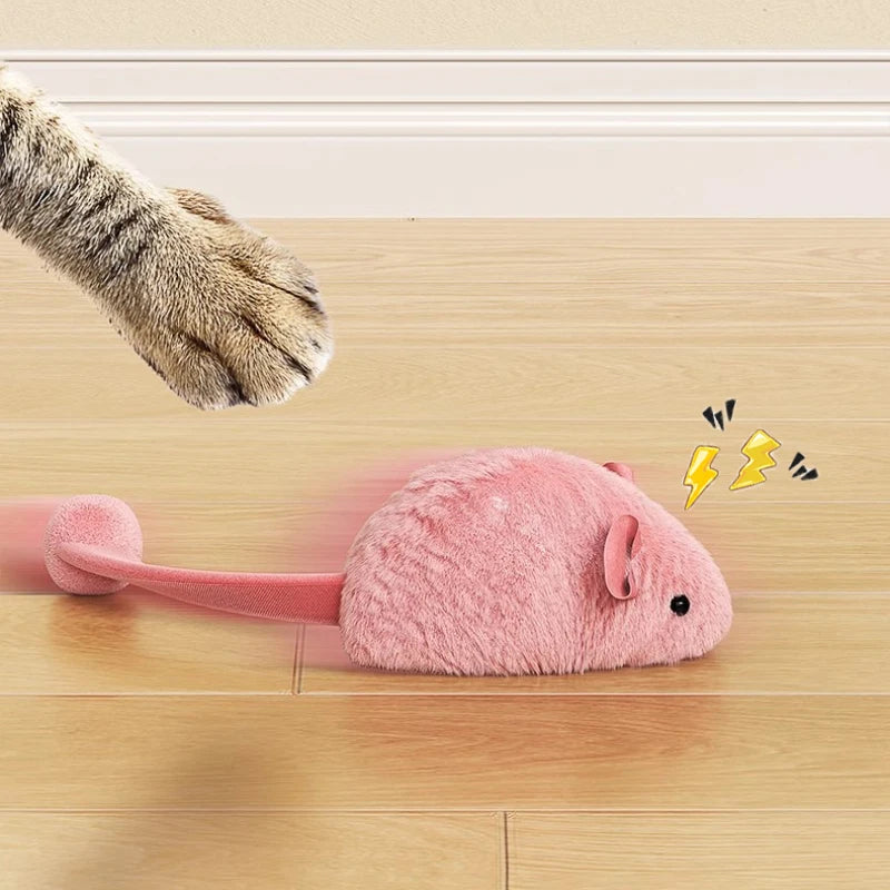 Soft chewable toy for kittens and cats