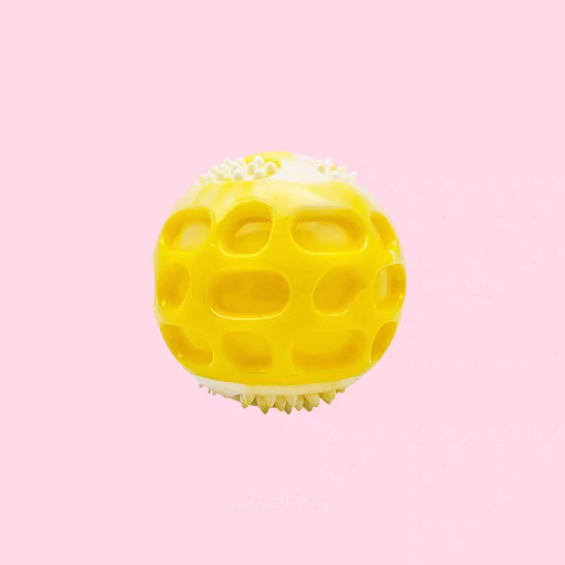 Sturdy dog toy for training and exercise