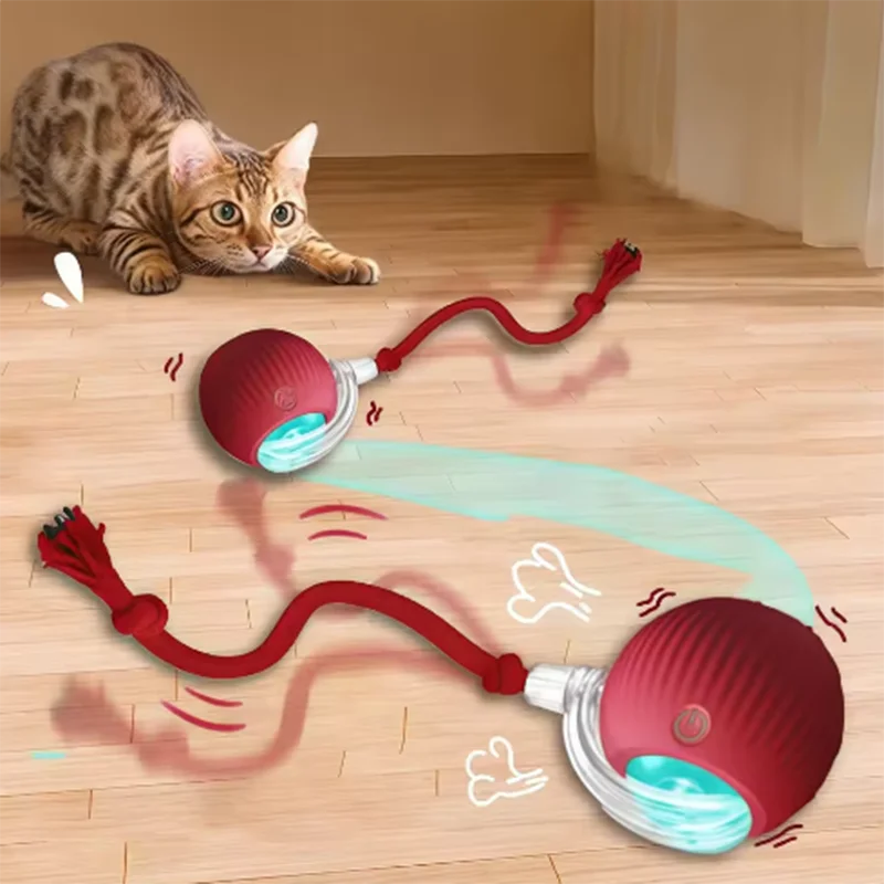 Automatic interactive cat toy with moving ball
