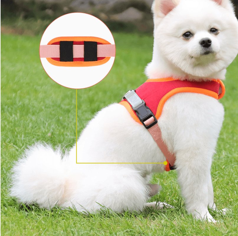 Luxury Suede Dog Harness Set – Adjustable Chest Strap with Matching Leash-0