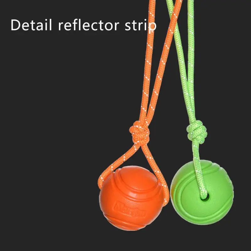 Interactive bouncy rubber dog ball with rope