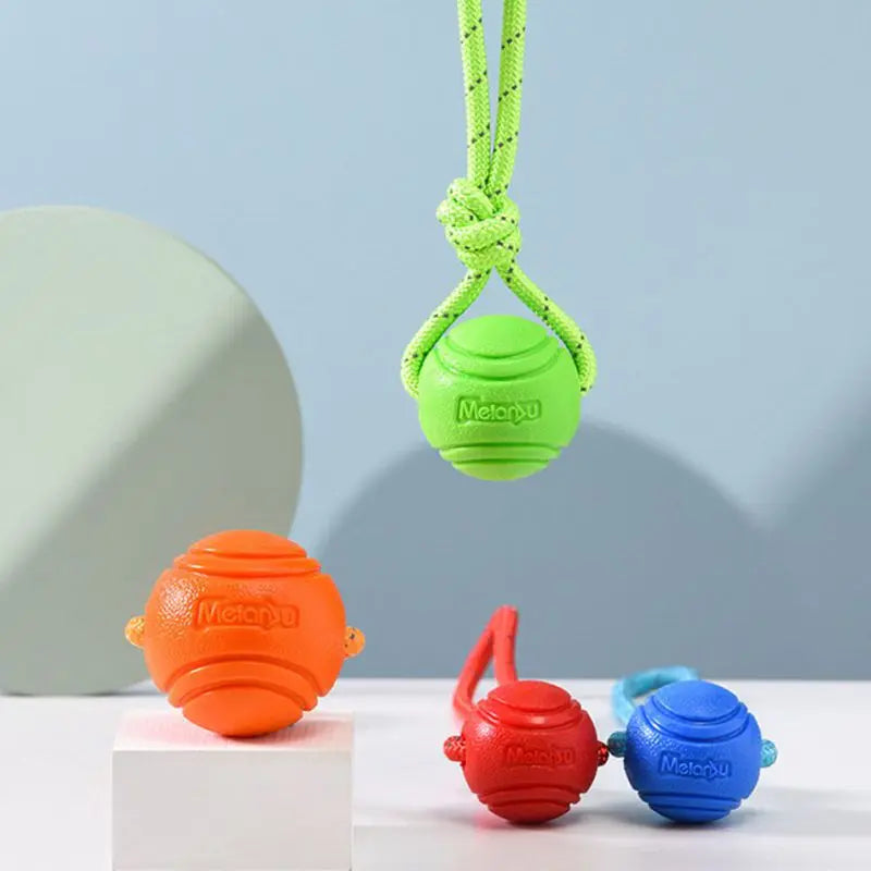 Interactive bouncy rubber dog ball with rope