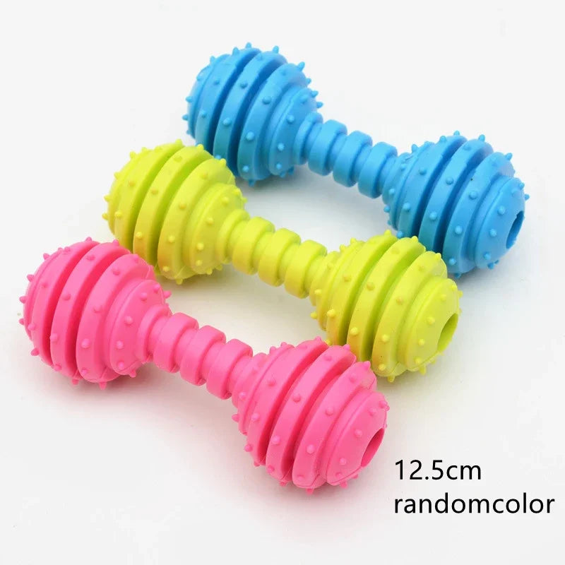 Colorful dog toys shaped like dumbbells on a white background