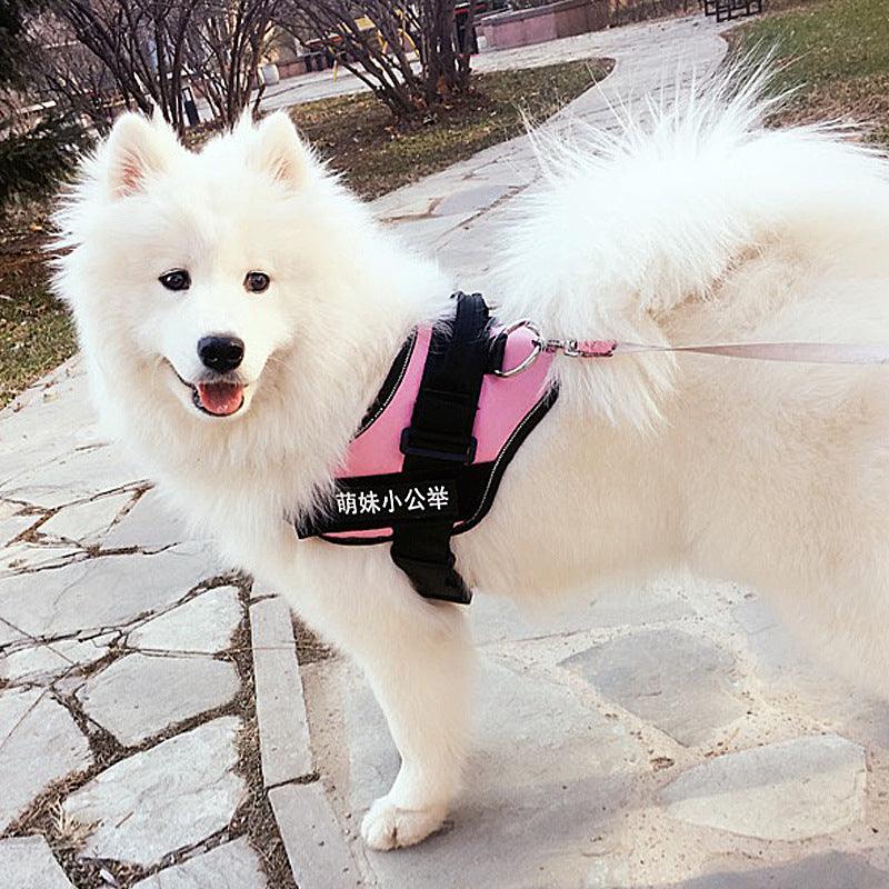Ultimate Pet Adventure Set – Adjustable Dog Harness with Matching Leash-1