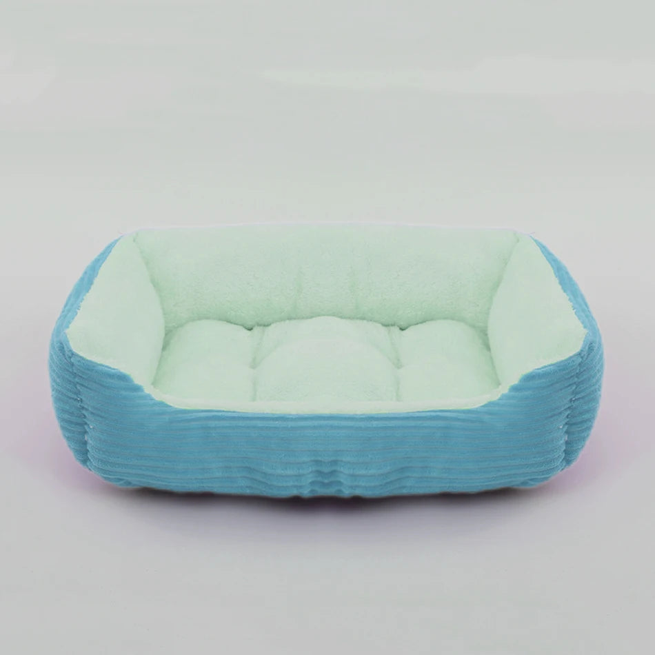 Pet bed with green interior and blue exterior on a light gray background