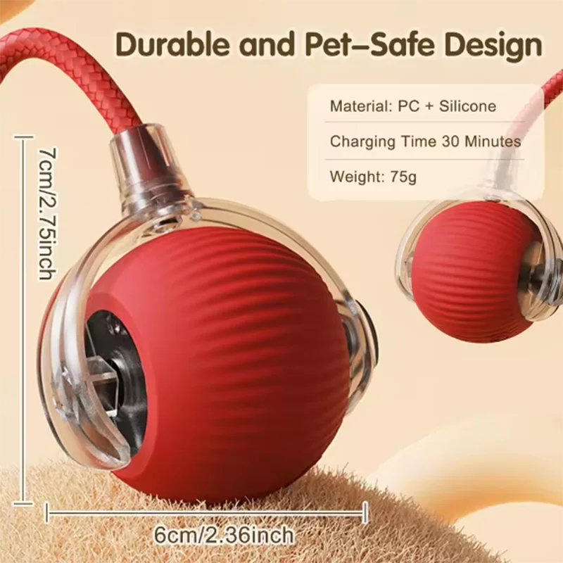 Interactive cat toy designed to reduce boredom