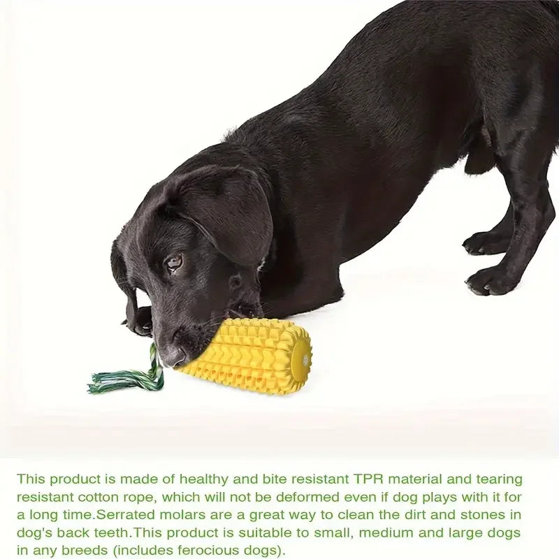 Interactive dog toy for strong chewers