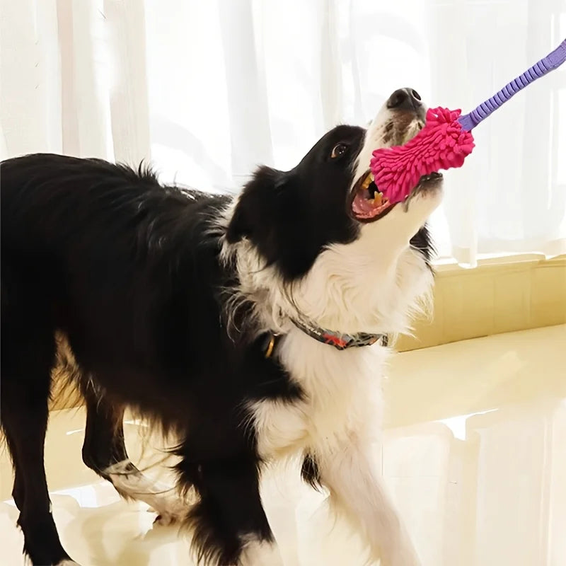 Teeth-engaging chew toy for dogs